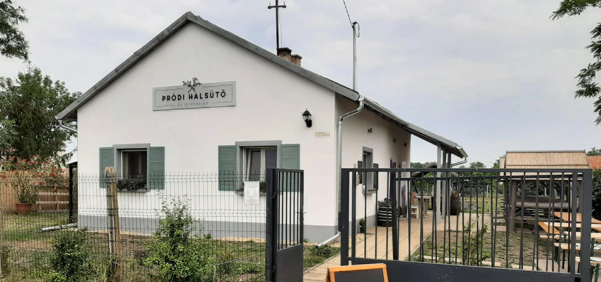 Pródi Halsütő és Levendulás